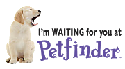 Petfinder waiting 2