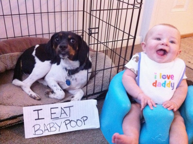 Shaming Ate Baby Poop 2013