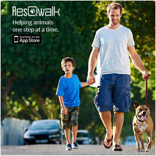 Resqwalk 4