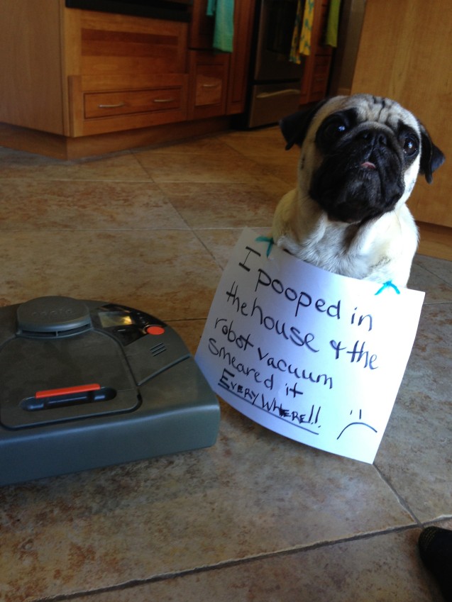 Shaming Poop Vacuum