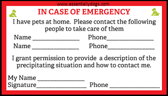 Emergency Card resized - with ED