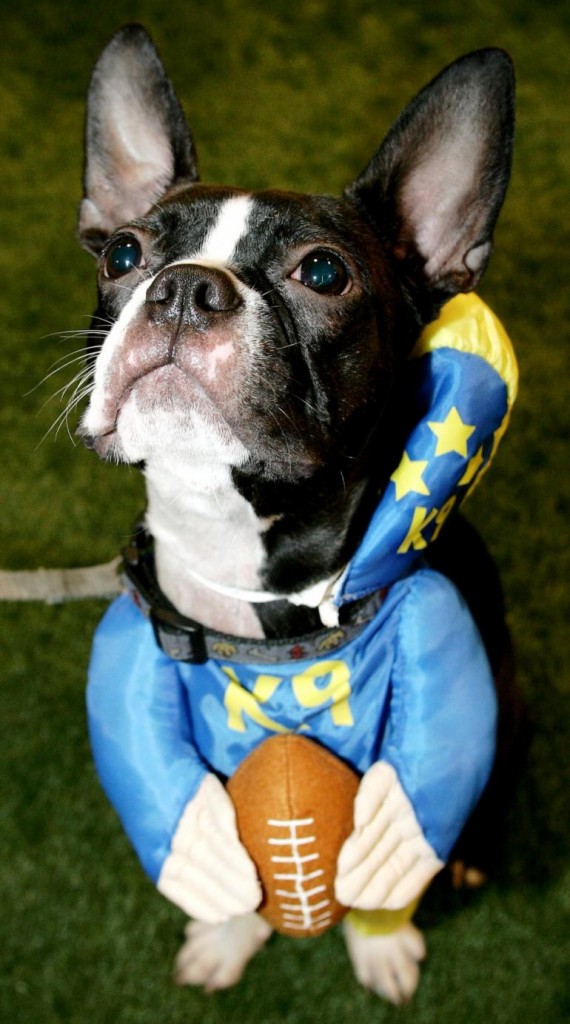 Halloween Football Player