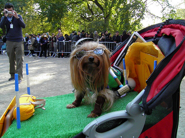 Halloween Polo Player