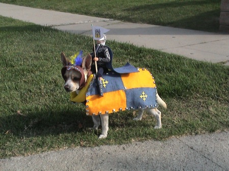 Medieval dog Halloween