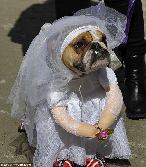 halloween Bride