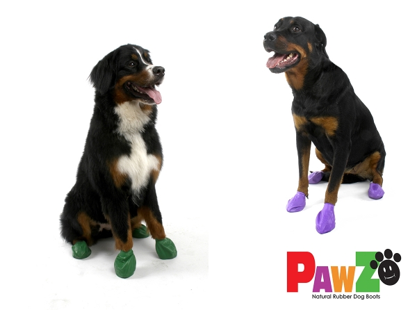 Pawz Big Dogs