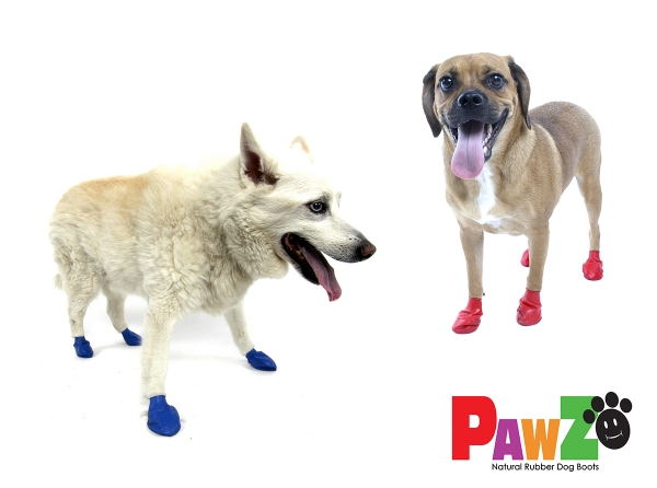 Pawz Medium Dogs