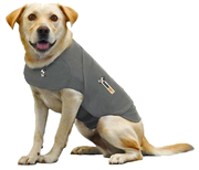 Thundershirt-Healthypets