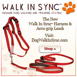 Walk in Sync Harness and Leash