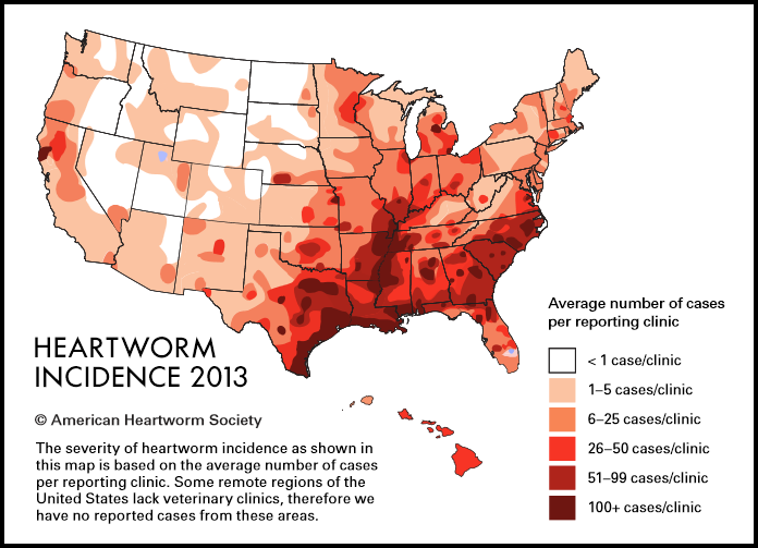 Heartworm Society Map Essentially Dogs